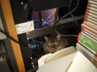 Hermes hiding in equip rack  P152061